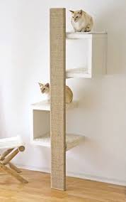Dieser Leuchtturm Ist Ein Kultgegenstand Fur Jedes Zimmer Und Jede Katze Katzen Katzen 2020 Hayvan Odasi Evcil Hayvan Aksesuarlari Kopek Kulubeleri