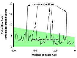 Image result for mass extinctions