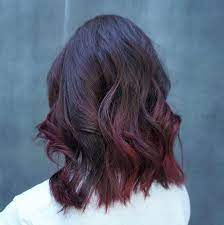 15 Gorgeous Hair Colours That Don T Require Bleaching The Singapore Women S Weekly Purple Hair Tips Hair Color Asian Bright Hair Colors