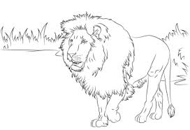 They are a good way for kids to develop their habit of coloring. 35 Free Lion Coloring Pages Printable