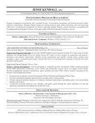 It Director Resume Template Executive Director Resume Template Click ...