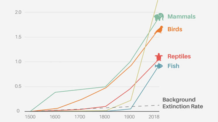 EO Indexes: Extinction | Earth.Org