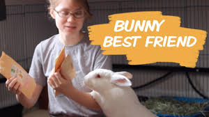 Some imports have bug sprays on them, or other kinds of little chemicals that you might want to. Easy Diy Rabbit Chew Toys Youtube