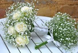 Bo Hoa Baby Trắng Xinh đẹp được Dung Lam Hoa Cầm Tay Co Dau Hoa Co Dau Gypsophila Trang Tri đam Cưới
