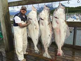 You can find free articles related to fishing charters. Valdez Outfitters