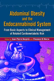 Abdominal Obesity Metabolic Syndrome And Risk Of Cardiovascular Disease Taylor Francis Group