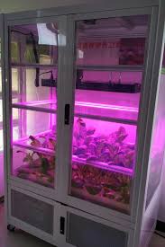 Our wideband spectrum grows like nothing you've experienced before. Pin On Seegree Led Grow Lights