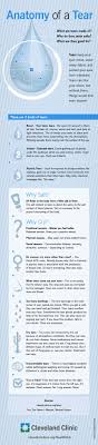 Why We Cry And What Tears Are Made Of Eye Facts Medical Facts Anatomy