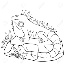 Dogs love to chew on bones, run and fetch balls, and find more time to play! Coloring Pages Cute Iguana Sits On The Rock And Smiles Royalty Free Cliparts Vectors And Stock Illustration Image 62894640