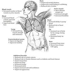 Exercise Benefits For Bariatric Patients Mayo Clinic Health System