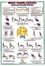 Yukon Fitness Chest Shoulder Muscles