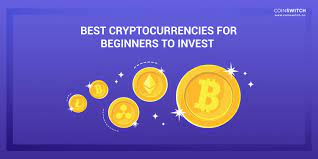 Investing in bitcoins or cryptocurrencies is a highly speculative activity. 5 Best Cryptocurrencies For Beginners To Invest In 2021