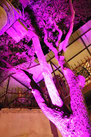 Pin By Boyd S Event On Event Monogram Lighting By Boyd S Events Wedding Lights Wedding Rentals Uplighting