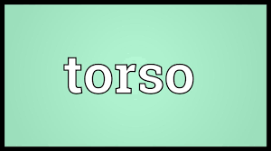 Torso Meaning Youtube