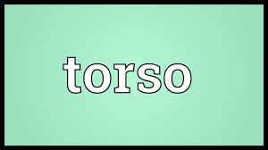 Torso Meaning - YouTube