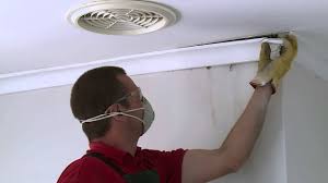 It's packed with ideas, inspiration, d.i.y. How To Remove Cornice Diy At Bunnings Youtube