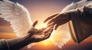 images?q=tbn:ANd9GcQNYPv14lP_PaxMItXwq1RjccBHZi2PgPRmvg&s