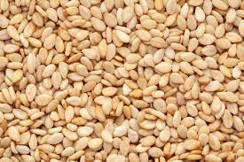 Image result for Sesamum