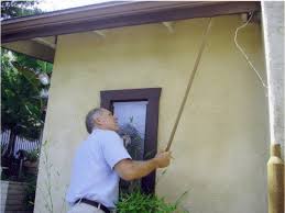 Please enter a valid zip code. D S Termite And Pest Control Reviews Spring Valley Ca Angi