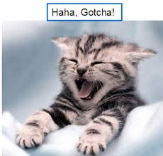 Doua ore mai tarziu, un alt angajat al complexului de. Cea Mai Mare Pacaleala De 1 Aprilie Diary Of A Beauty Addict