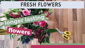 Check spelling or type a new query. How To Keep Your Cut Flowers Fresher For Longer Youtube