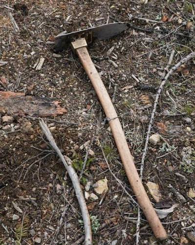 🤔 Ever heard of a hoedad? 🌱 This iconic wooden-handled hand tool is used by forestry teams to efficiently plant bare-root seedlings grown in nurseries into natural sites. 🌲 The hoedad has