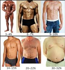 Brads Practical Guide To Body Fat Percentages Brad Newton