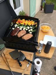 Decouvrir Et Partager Les Plasirs De La Cuisine Au Barbecue Et A La Plancha Magret De Canard Recette Et Cuisse De Canard