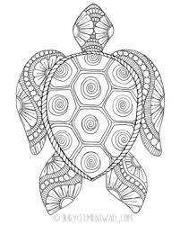 An adorable baby turtle looks on. Gorgeous Sea Turtle Coloring Page Favecrafts Com