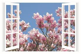 Maybe you would like to learn more about one of these? Hd Wallpaper Magnolia Magnolia Tree Flower Spring Blossom Bloom Aesthetics Wallpaper Flare