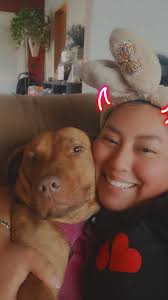 Has anyone seen my missing pocket bully?