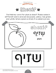 The Hebrew Word For Plum Is Shezif Learn The Hebrew Language With Our Fun Learning Hebrew Activity Book For Kid Hebrew Words Hebrew Lessons Hebrew Vocabulary