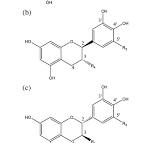 Green tea catechins during food processing and storage: A ...