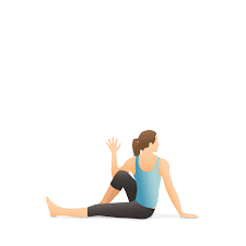 Seated Twist Flow