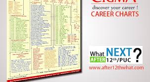 Cigma Career Chart After 12th What Next In India