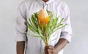 Banksia Resendiz Brothers Sf Bay Good Eggs