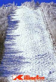 Killington Outer Limits In The Good Old Days When You Did Not Make Groom Half Of It So People Could Go Straight Down Like Killington Killington Vermont Scenic