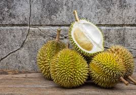 Selain menyembuhkan kanser, buah ini juga berfungsi sebagai anti bakteria, anti fungus , berkesan melawan berbagai jenis parasit dan. 5 Khasiat Durian Dalam Meningkatkan Kesuburan Wanita