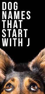 But we've all thousands of ideas to help you, and we've made it even easier by narrowing them down. Dog Names That Start With J Great Ideas For Your New Puppy
