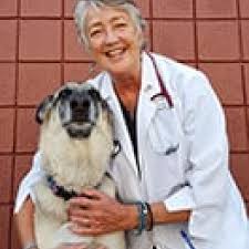 Our accreditation demonstrates our commitment to the highest standards of veterinary care. Dog Cat Hospital Norfolk Va