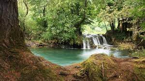 .מצא 3,730 חוות דעת של מטיילים, 1,681 תמונות אמיתיות ומחירים עבור 45 מלונות ליד ‪nacionalni park una 0.2 קמ מ‪nacionalni park una‬. Nacionalni Park Una National Park Una Bosnia And Herzegovina Youtube