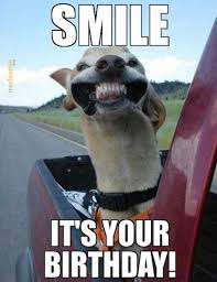 Download a free preview or high quality adobe illustrator ai, eps, pdf and high resolution jpeg versions. Smile It S Your Birthday Funny Happy Birthday Memes Funny Faces Memes Hond Verjaardag Puppy Huisdier