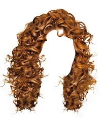 Download Png Image Women Hair Png Image Hair Png Brown Curly Hair Curly Hair Styles Long blonde hair png, transparent png. download png image women hair png