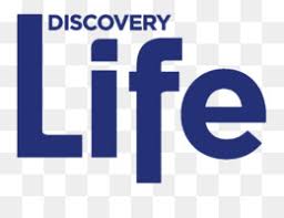 With a variety of available file formats (cdr and png). Cartoon Network Logo