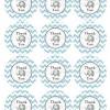 Cardstock for the free printable tags. 1