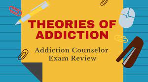 Models And Theories Of Addiction | Addiction Counselor Certification  Training At Allceus - Youtube