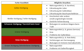 Ursachen, symptome und gefahren ab wann zum inhaltsübersicht. Hundekot Beurteilen So Erkennst Du Krankheiten Stallbedarf24 Ratgeber