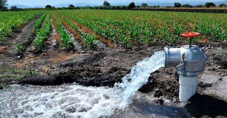 Cultivida: Perú debe acelerar inversión en infraestructura de riego para alcanzar el 90 % de eficiencia tecnificada