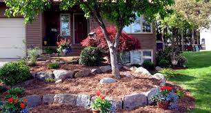 Holly | few plants symbolize winter or christmas specifically like the holly. Winter Landscaping Services For Your Commercial Property Better Housekeeper