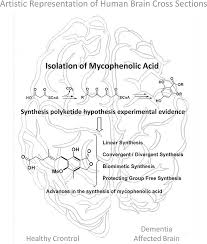 Kunci jawaban tangent english alive yudhistira >> strip (mirror #1). Mycophenolic Acid Biogenesis Compound Isolation Biological Activity And Historical Advances In Total Synthesis Halle 2019 European Journal Of Organic Chemistry Wiley Online Library